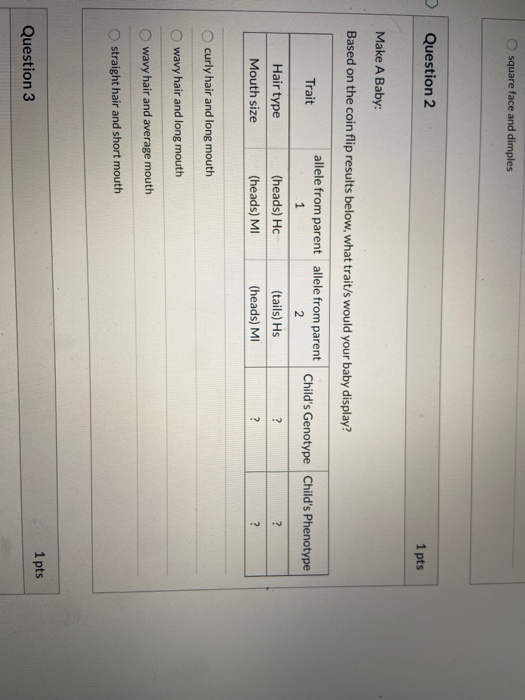 square face and dimples Question 2 1 pts Make A Baby: Based on the coin flip results below, what trait/s would your baby disp