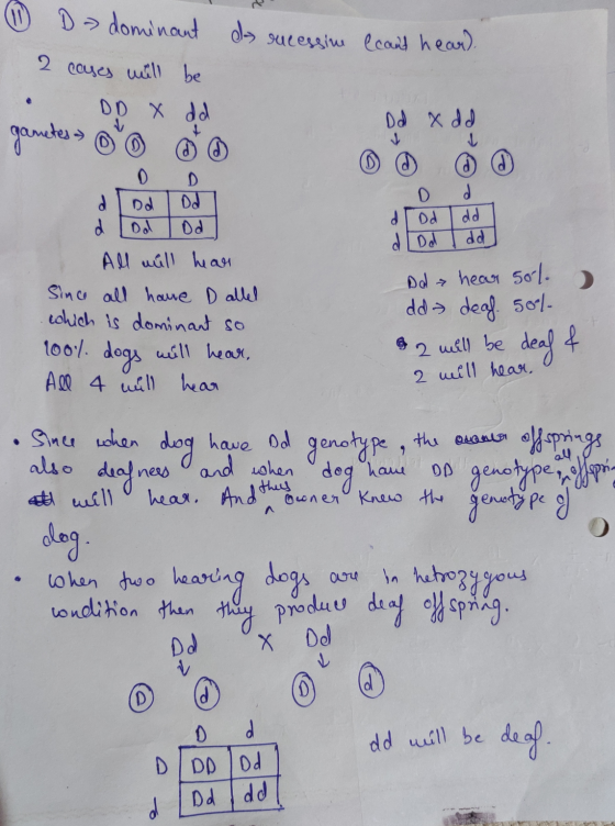 de sucessine (cant hear). ① D > dominant 2 cases will be • DD X dd gametes 0 0 0 D D Dd xdd d Dd Dd d Dd od All will hear Si