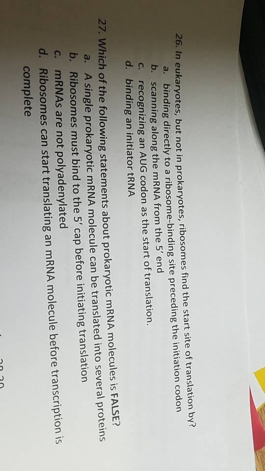 26. In eukaryotes, but not in prokaryotes, ribosomes find the start site of translation by? a. binding directly to a ribosome-binding site preceding the initiation codon b. scanning along the mRNA from the 5 end c. recognizing an AUG codon as the start of translation. d. binding an initiator tRNA 27. Which of the following statements about prokaryotic mRNA molecules is FALSE? a. A single prokaryotic mRNA molecule can be translated into several proteins b. Ribosomes must bind to the 5 cap before initiating translation c. mRNAs are not polyadenylated d. Ribosomes can start translating an mRNA molecule before transcription is complete