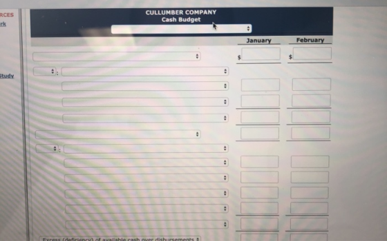 RCES CULLUMBER COMPANY Cash Budget January February itudy