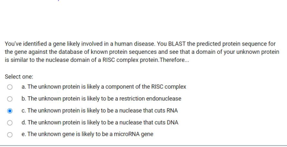 Youve identified a gene likely involved in a human disease. You BLAST the predicted protein sequence for the gene against th