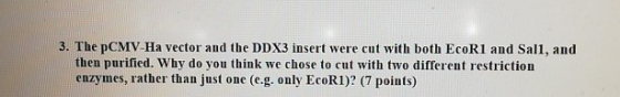 3. The pCMV-Ha vector and the DDX3 insert were cut with both EcoR1 and Sali, and then purified. Why do you think we chose to