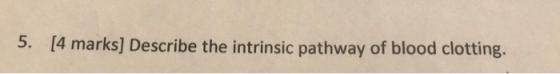 5. [4 marks] Describe the intrinsic pathway of blood clotting.