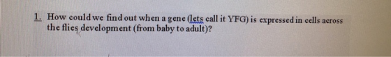 1. How could we find out when a gene (lets call it YFG) is expressed in cells across the flies development (from baby to adul