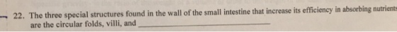 - 22. The three special structures found in the wall of the small intestine that increase its efficiency in absorbing nutrient are the circular folds, villi, and