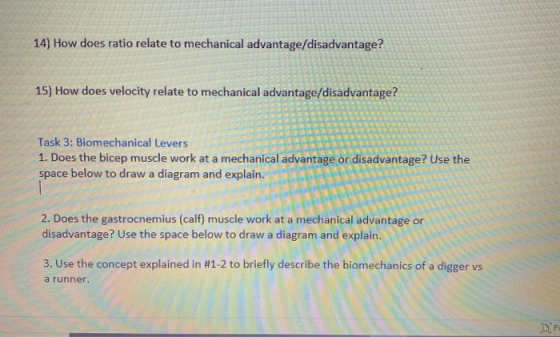14) How does ratio relate to mechanical advantage/disadvantage? 15) How does velocity relate to mechanical advantage/disadvan