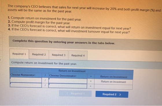 The companys CEO believes that sales for next year will increase by 20% and both profit margin (%) and assets will be the sa