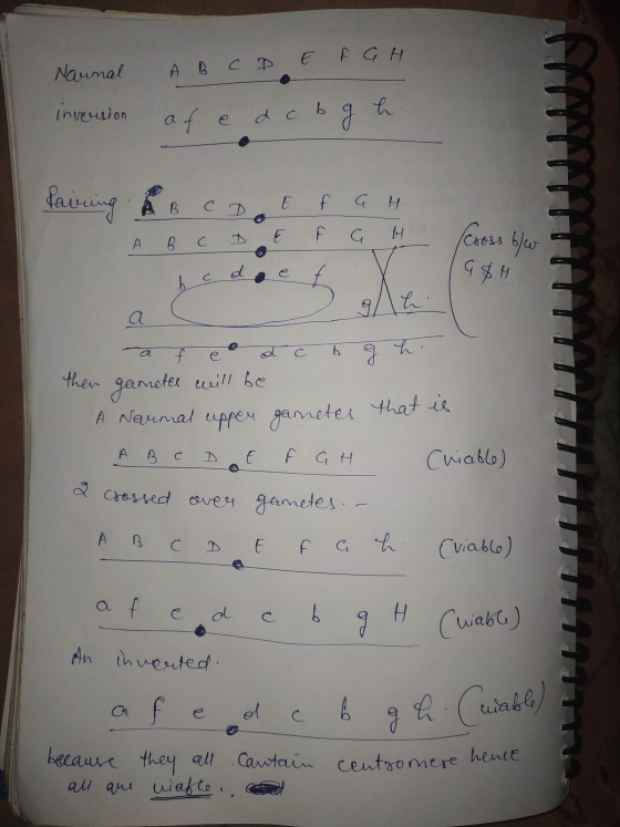 A B C D E F G H Naunal Inversion af e a c b g h. lavring A B C D A B C D E E F G H F G by Cross blev a f e o ac b g h. then g