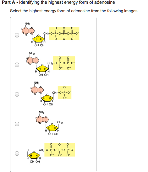 Identifying the highest energy form of adenosine
