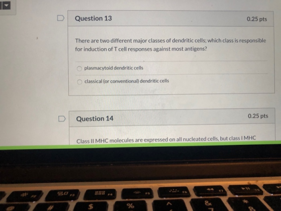 Question 13 0.25 pts There are two different major classes of dendritic cells, which class is responsible for induction of T