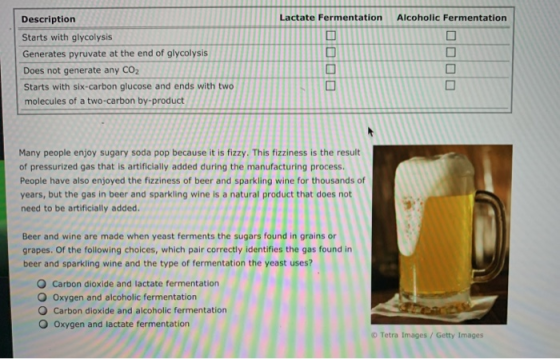 actate Fermentation Alcoholic Fermentation Description Starts with glycolysis Generates pyruvate at the end of glycolysis Doe