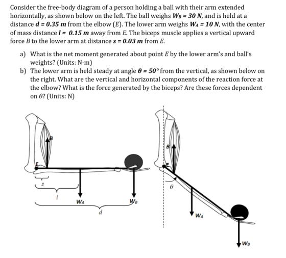 Consider the free-body diagram of a person holding a ball with their arm extended horizontally, as shown below on the left. The ball weighs WB 30 N, and is held at a distance d0.35 m from the elbow (E). The lower arm weighs WA 10N, with the center of mass distance 1- 0.15 m away from E. The biceps muscle applies a vertical upward force B to the lower arm at distance s - 0.03 m from E. a) What is the net moment generated about point E by the lower arms and balls weights? (Units: N-m) b) The lower arm is held steady at angle e -50° from the vertical, as shown below on the right. What are the vertical and horizontal components of the reaction force at the elbow? What is the force generated by the biceps? Are these forces dependent on θ? (Units: N) WA We WA WB