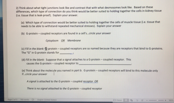 2) Think about what tight junctions look like and contrast that with what desmosomes look like. Based on these differences, w
