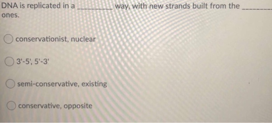 DNA is replicated in a ones. way, with new strands built from the conservationist, nuclear 3-5, 5-3 semi-conservative, existi