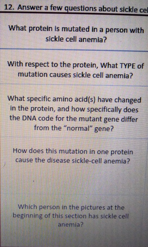 12. Answer a few questions about sickle cel What protein is mutated in a person with sickle cell anemia? With respect to the