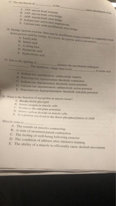 17. The attachment of to the cases detachment of the A. ATPmyosin head: troponin B. ATP: myosin head: cross bridge C. ADP: my