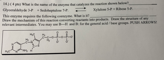 14.) (4 pts) What is the name of the enzyme that catalyzes the reaction shown below? Glyceraldehyde 3-P + Sedoheptulose 7-P.