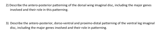 2) Describe the antero-posterior patterning of the dorsal wing imaginal disc, including the major genes involved and their ro