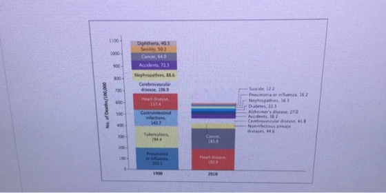 10. us pts) Below is a graphic comparing the cause