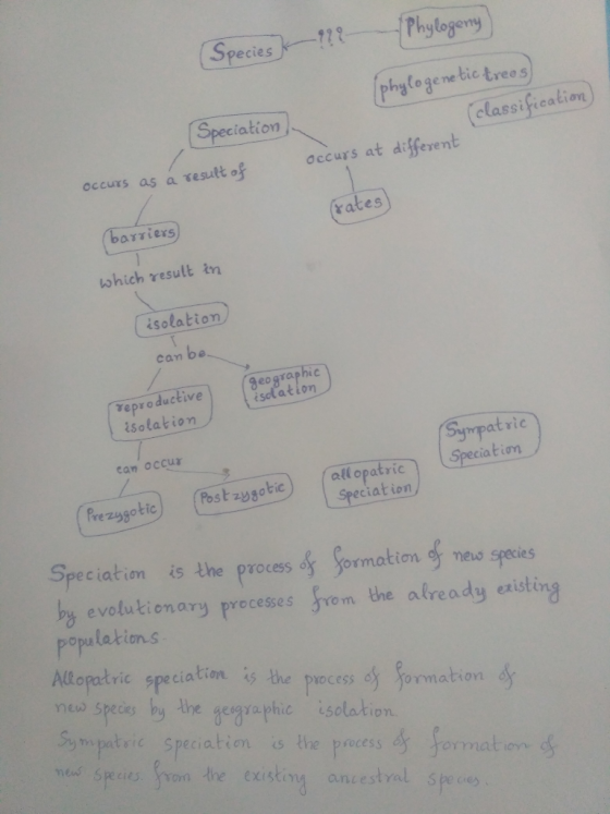 Phylogeny) (Species & ??? (Speciation) (phylogenetic trees) (classification) Occurs at different occurs as a result of (rates