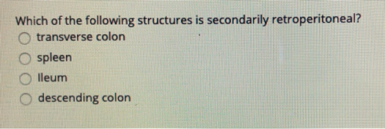 Which of the following structures is secondarily retroperitoneal? O transverse colon spleen O lleum descending colon