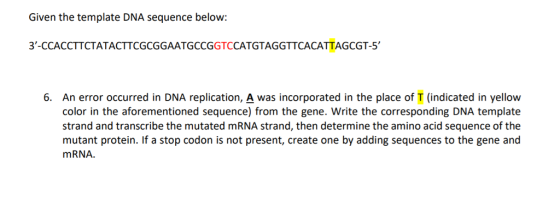 Given the template DNA sequence below: 3-CCACCTTCTATACTTCGCGGAATGCCGGTCCATGTAGGTTCACATTAGCGT-5 6. An error occurred in DNA replication, A was incorporated in the place of T (indicated in yellow color in the aforementioned sequence) from the gene. Write the corresponding DNA template strand and transcribe the mutated mRNA strand, then determine the amino acid sequence of the mutant protein. If a stop codon is not present, create one by adding sequences to the gene and mRNA.