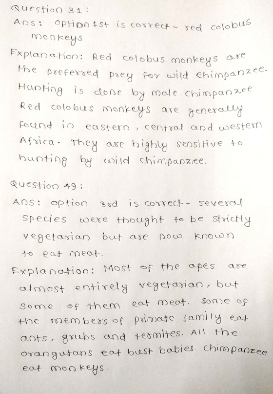Question 31: ADS: Option 1st is correcta red colob monkeys Explan cron: Red colobus monkeys o the preferred prey for wild thi