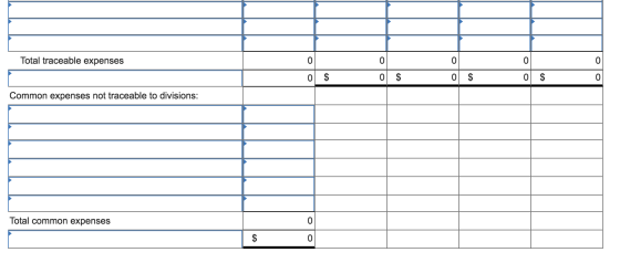 Total traceable expenses 0 0 0 0 $ $ $ 0 0 0 0 0 Common expenses not traceable to divisions: Total common expenses 0 $ 0