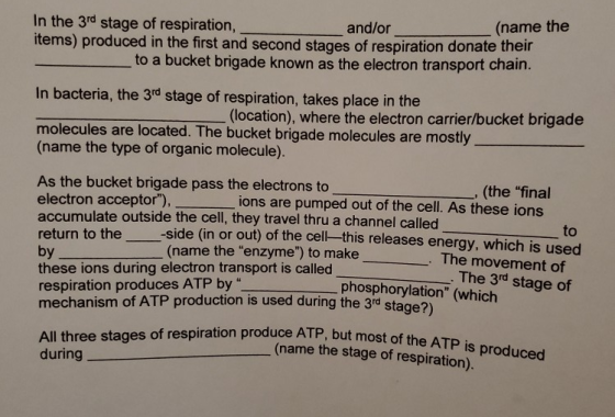(name the items) produced in the first and second stages of respiration donate their to a bucket brigade known as the electro