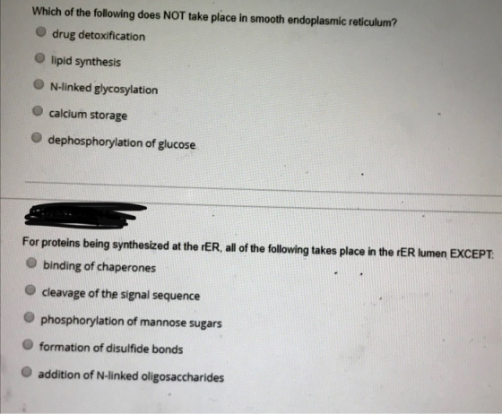 Which of the following does NOT take place in smooth endoplasmic reticulum? drug detoxification lipid synthesis N-linked glyc