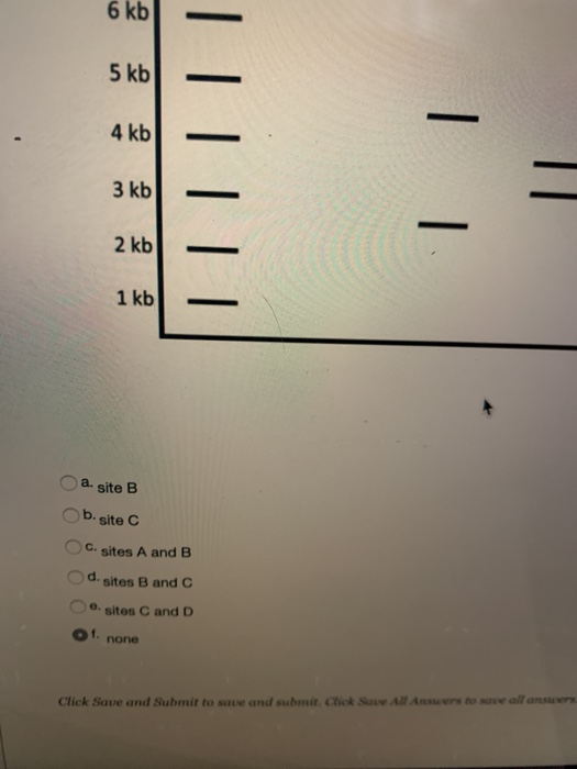 a. site B b.site 6. sites A and B d. sites B and C O sites C and D Oh none to o all are Click Save and Submit to save and sub