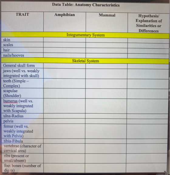 Data Table: Anatomy Characteristics TRAIT Amphibian Mammal Hypothesis/ Explanation of Similarities or Differences Integumenta