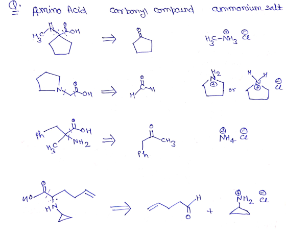 Amino Acid Carbonyl compound ammonium salt when a partita