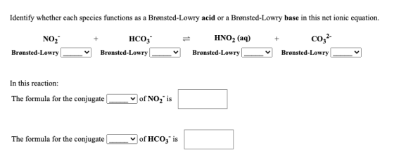 Identify whether each species functions as a Brønsted-Lowry acid or a Brønsted-Lowry base in this net ionic equation. NO2 Brø