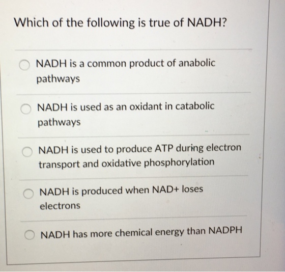Which of the following is true of NADH? NADH is a common product of anabolic pathways NADIH is used as an oxidant in catabolic pathways NADH is used to produce ATP during electron transport and oxidative phosphorylation NADH is produced when NAD+ loses electrons NADH has more chemical energy than NADPH