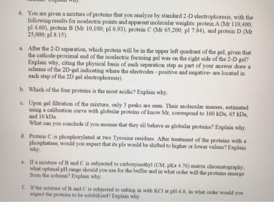 6. You are given a mixture of proteins that you analyze by standard 2-D electrophoresis, with the following results for isoelectric points and apparent molecular weights: protein A (Mr 110,400; pl 4.60), protein B (Mr 10,100; pl 6.93), protein C (Mr 65,200; pI 7.84), and protein D (M 25,000; pI 8.15) a. After the 2-D separation, which protein will be in the upper left quadrant of the gel. given that e cathode-proximal end of the isoelectric focusing gel was on the right side of the 2-D gel? plain why, citing the physical basis of each separation step as part of your answer drawa me of the 2D-gel indicating where the electrodes positive and negative- are located in each step of the 2D gel electrophoresis) b. Which of the four proteins is the most acidie? Explain why. c. Upon gel filtration of the mixture, only 3 peaks are seen. Their molecular masses, estimated using a calibration curve with globular proteins of know Mr, correspond to 160 kDa, 65 kDa, and 10 kDa. What can you conclude if you assume that they all behave as globular proteins? Explain why d. Protein C is phosphorylated at two Tyrosine residues. After treatment of the proteins with a phosphatase, would you expect that its pls would be shifted to higher or lower values? Explain why If a mixture of B and C is subjected to carboxymethyl (CM, pKa 4.76) matrix chromatography. what optimal pH range should you use for the buffer and in what order will the proteins emerge from the column? Explain why e. If the mixture of B and C is subjected to salting in with KCI at pH 6.8, in what order would you expect the proteins to be solubilized? Explain why. f.