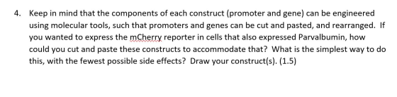 4. Keep in mind that the components of each construct (promoter and gene) can be engineered using molecular tools, such that