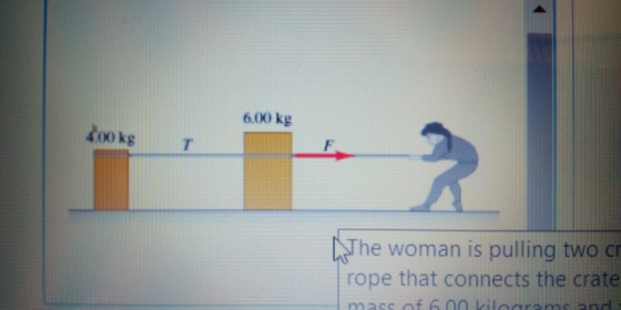 6.00 kg よ 00 kg T he woman is pulling two c rope that connects the crate