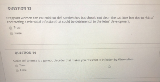 QUESTION 13 Pregnant women can eat cold cut deli sandwiches but should not clean the cat litter box due to risk of contractin