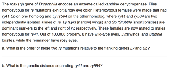 The rosy (ry gene of Drosophila encodes an enzyme called xanthine dehydrogenase. Flies homozygous for ry mutations exhibit a rosy eye color. Heterozygous females were made that had ry41 Sb on one homolog and Ly ry564 on the other homolog, where ry41 and ry564 are two independently isolated alleles of ry. Ly (Lyra[narrowl wings) and Sb (Stubble [short bristles) are dominant markers to the left and right of ry, respectively. These females are now mated to males homozygous for ry41. Out of 100,000 progeny, 8 have wild-type eyes, Lyra wings, and Stubble bristles, while the remainder have rosy eyes a. What is the order of these two ry mutations relative to the flanking genes Ly and Sb? b. What is the genetic distance separating ry41 and ry564?