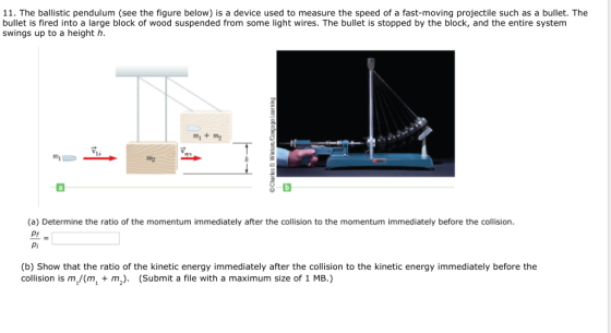 11. The ballistic pendulum (see the figure below) is a device used to measure the speed of a fast-moving projectile such as a bullet. The bullet is fired into a large block of wood suspended from some light wires. The bullet is stopped by the block, and the entire system swings up to a height h. m+m V1i 2 (a) Determine the ratio of the momentum immediately after the collision to the momentum immediately before the collision pr Pi (b) Show that the ratio of the kinetic energy immediately after the collision to the kinetic energy immediately before the collision is m,/(m +m). (Submit a file with a maximum size of 1 MB.)