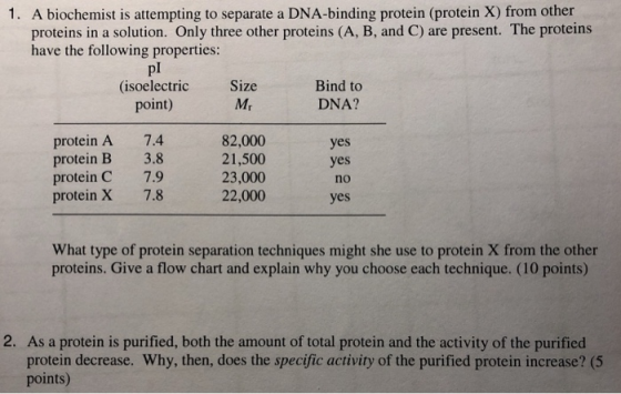 1. A biochemist is attempting to separate a DNA-binding protein (protein X) from other proteins in a solution. Only three oth