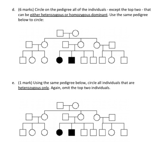 d. (6 marks) Circle on the pedigree all of the individuals - except the top two-that can be either heterozygous or homozygous