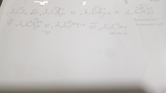 ہ oh - - Tetrahedral Intermediate - Lactone
