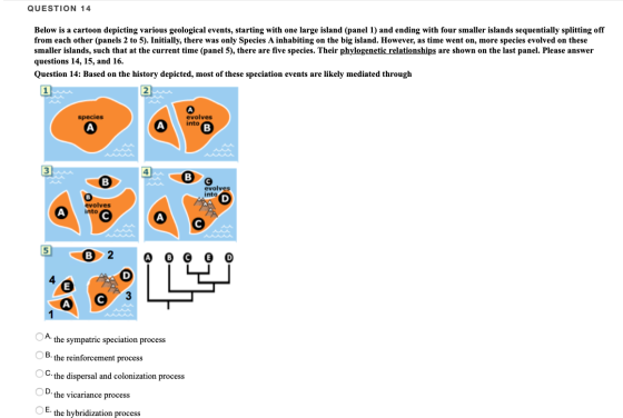 QUESTION 14 Below is a cartoon depicting various geological events, starting with one large island (panel 1) and ending with