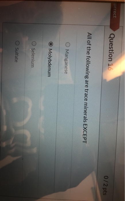 orrect Question 16 0/2 pts All of the following are trace minerals EXCEPT O Manganese O Molybdenum O Selenium O Sulfate