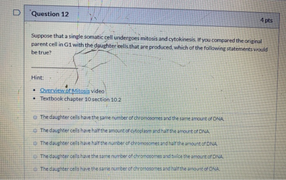 Question 12 4 pts Suppose that a single somatic cell undergoes mitosis and cytokinesis. If you compared the original parent c