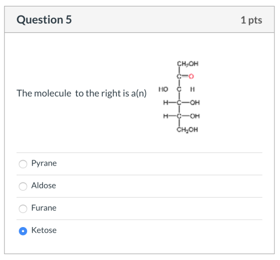Question 5 1 pts ҫнон но с н The molecule to the right is a(n) Н—с—он н—с—он сH,он Pyrane Aldose Furane Ketose