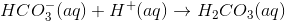 HCO_3^{-} (aq)+H^+(aq) \rightarrow H_2CO_3(aq)