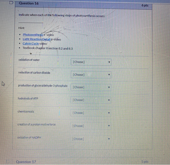 Question 16 6 pts Indicate when each of the Yollowing steps of photosynthesis occurs: Hint: • Photosynthesis e video Light Re